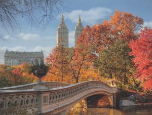 Autumn in Central Park