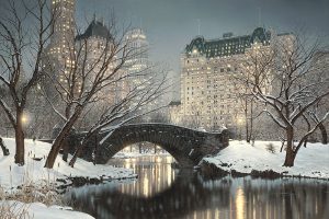 Twilight in Central Park